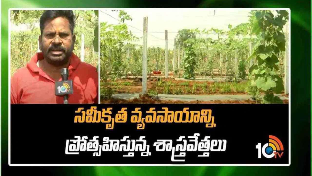 Integrated Agriculture : సమీకృత వ్యవసాయంతోనే స్థిరమైన ఆర్థిక వృద్ధి.. రైతుకు భరోసానిస్తున్న పలు పంటలు, అనుబంధ రంగాలు Integrated Agriculture : సమీకృత వ్యవసాయంతోనే స్థిరమైన ఆర్థిక వృద్ధి.. రైతుకు భరోసానిస్తున్న పలు పంటలు, అనుబంధ రంగాలు
