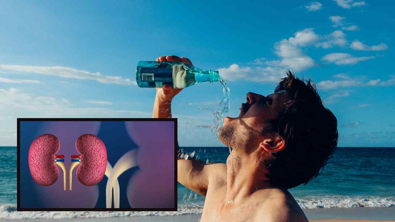 Kidney Health In Summer : వేసవిలో కిడ్నీ ఆరోగ్యాన్ని కాపాడుకునేందుకు ముఖ్యమైన జీవనశైలి మార్పులు ఇవే ! Kidney Health In Summer : వేసవిలో కిడ్నీ ఆరోగ్యాన్ని కాపాడుకునేందుకు ముఖ్యమైన జీవనశైలి మార్పులు ఇవే !