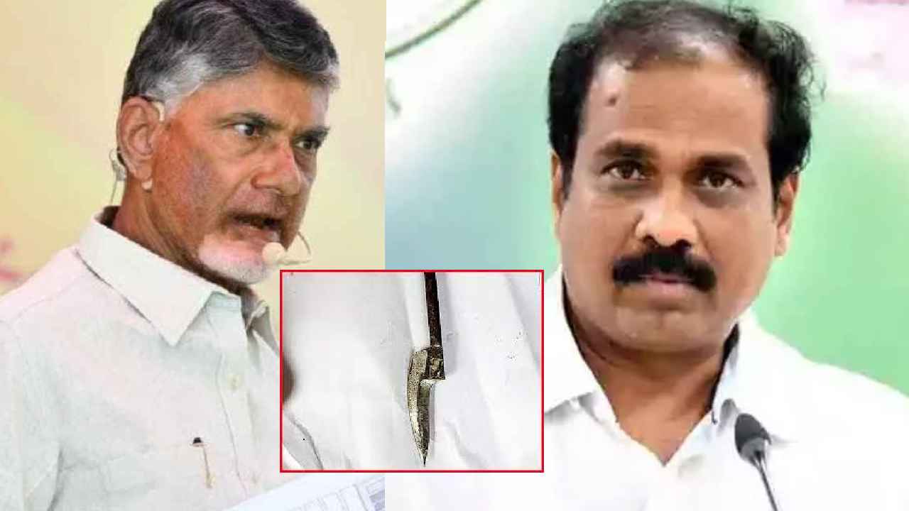 Kurasala Kannababu : బాబుగారూ.. ఎప్పుడైనా కోడికత్తి చూశారా? అదెంత షార్ప్గా ఉంటుందో- కన్నబాబు ఫైర్ Kurasala Kannababu : బాబుగారూ.. ఎప్పుడైనా కోడికత్తి చూశారా? అదెంత షార్ప్గా ఉంటుందో- కన్నబాబు ఫైర్