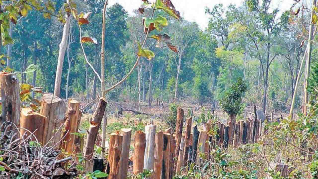Maharashtra : మహారాష్ట్ర ఆరే అటవీ ప్రాంతంలో చెట్లు నరికివేత.. ముంబై మెట్రోకు రూ.10 లక్షల జరిమానా Maharashtra : మహారాష్ట్ర ఆరే అటవీ ప్రాంతంలో చెట్లు నరికివేత.. ముంబై మెట్రోకు రూ.10 లక్షల జరిమానా