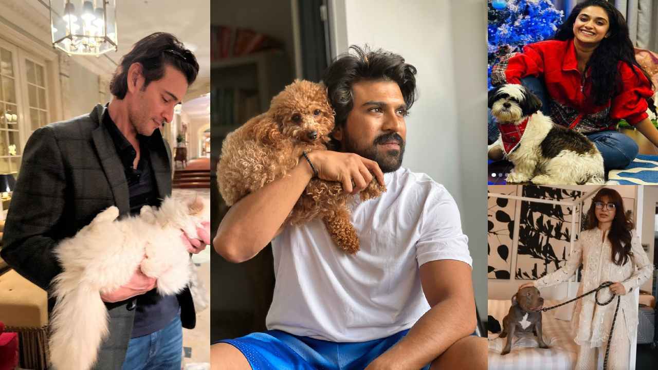 Mahesh Babu – Ram Charan : పెట్స్ ప్రేమలో పడిపోతున్న హీరో హీరోయిన్లు.. Mahesh Babu – Ram Charan : పెట్స్ ప్రేమలో పడిపోతున్న హీరో హీరోయిన్లు..