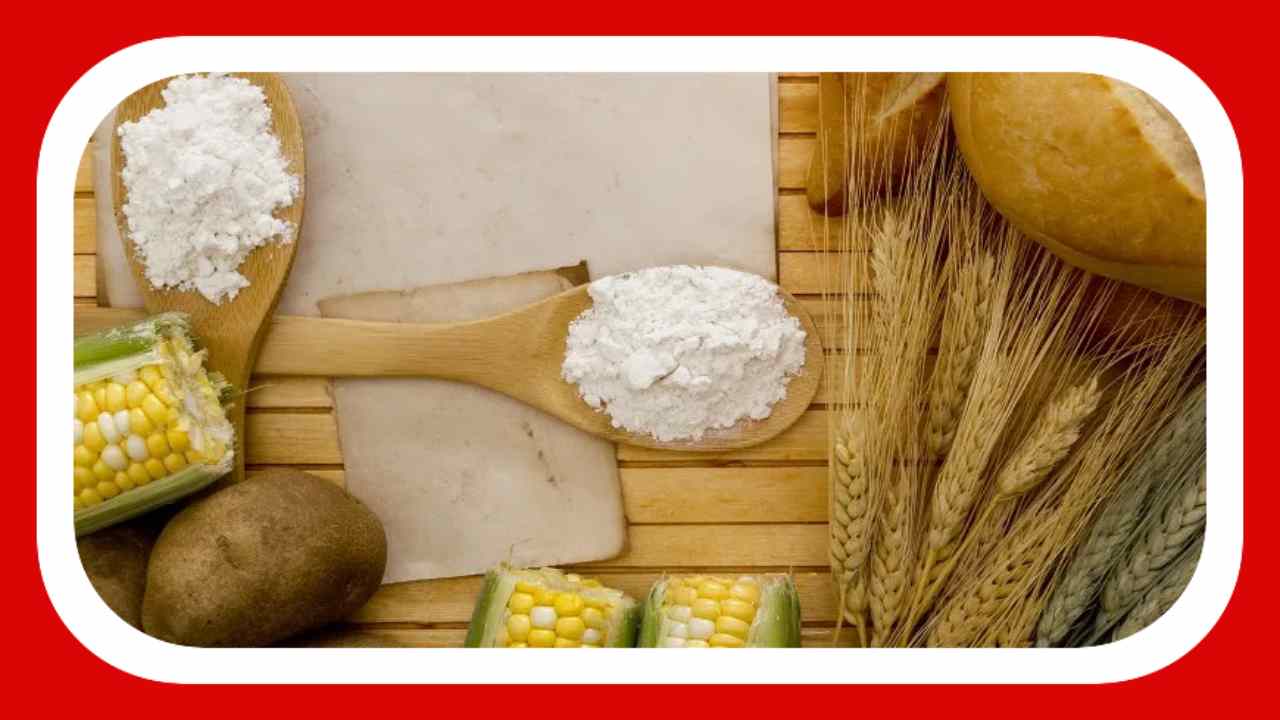 Maltodextrin : ఎనర్జీ డ్రింక్స్, స్పోర్ట్స్ డ్రింక్స్ ఆధారిత పానీయంలో కనిపించే మాల్టోడెక్స్ట్రిన్ అంటే ఏమిటి ? దీని వల్ల ఎలాంటి ప్రయోజనాలు కలుగుతాయంటే ? Maltodextrin : ఎనర్జీ డ్రింక్స్, స్పోర్ట్స్ డ్రింక్స్ ఆధారిత పానీయంలో కనిపించే మాల్టోడెక్స్ట్రిన్ అంటే ఏమిటి ? దీని వల్ల ఎలాంటి ప్రయోజనాలు కలుగుతాయంటే ?