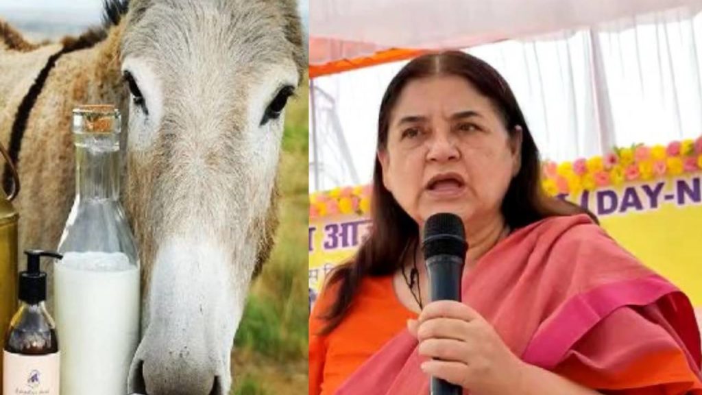 Maneka Gandhi Donkey Milk Soap