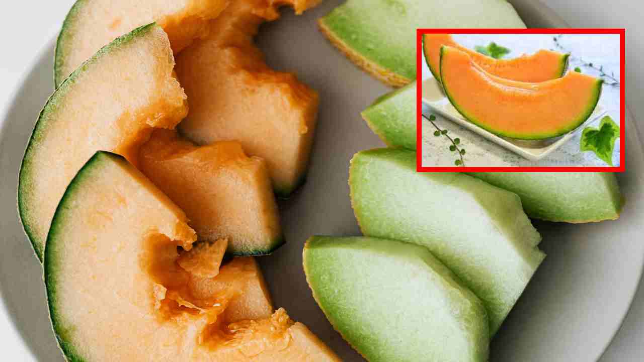 Musk Melon : బరువు తగ్గడానికి వేసవిలో కర్బూజా తీసుకోవటం వల్ల ఎలాంటి ప్రయోజనమంటే ? Musk Melon : బరువు తగ్గడానికి వేసవిలో కర్బూజా తీసుకోవటం వల్ల ఎలాంటి ప్రయోజనమంటే ?