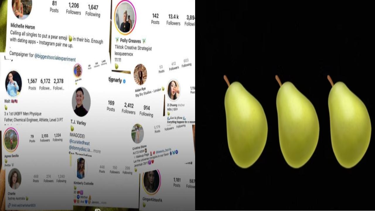 pear emoji : ఇన్స్టాగ్రామ్, ట్విట్టర్ బయోస్లో ‘పియర్’ ఎమోజీలు.. ఎందుకు వాడుతున్నారో తెలుసా? pear emoji : ఇన్స్టాగ్రామ్, ట్విట్టర్ బయోస్లో ‘పియర్’ ఎమోజీలు.. ఎందుకు వాడుతున్నారో తెలుసా?