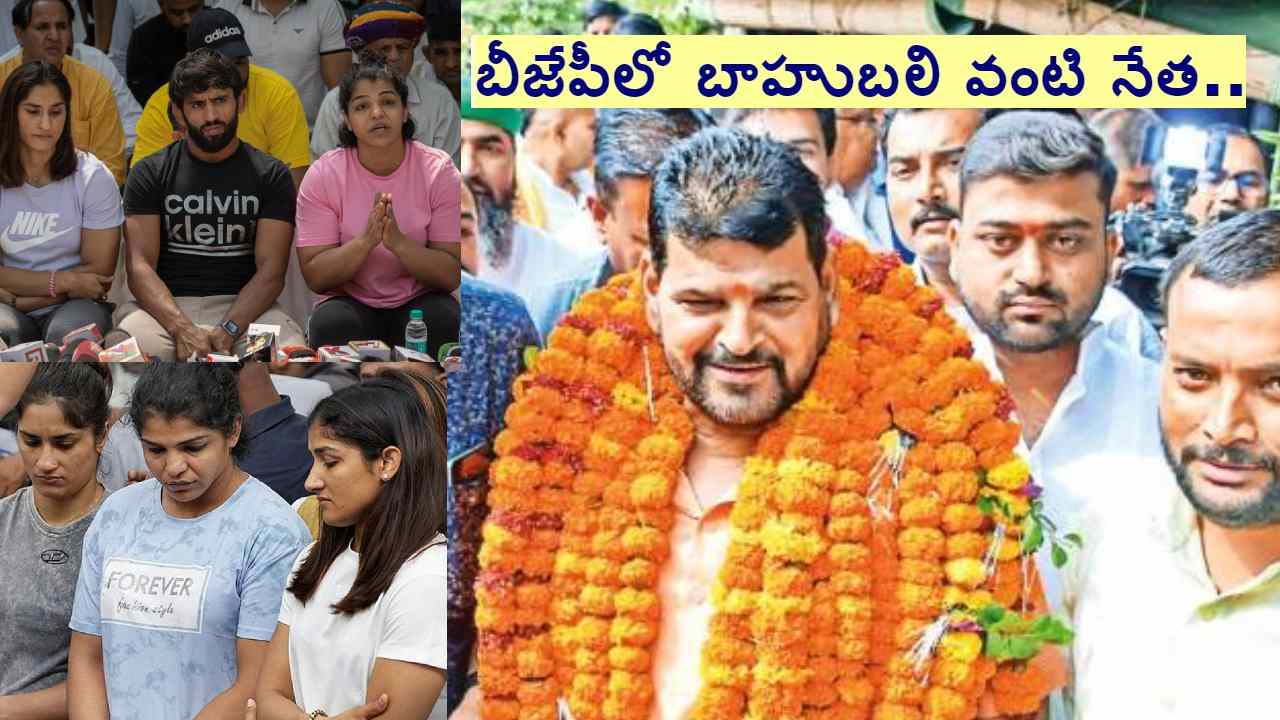 Wrestlers vs WFI: దేశ వ్యాప్తంగా విమర్శలు వస్తున్నా WFI చీఫ్పై బీజేపీ ఎందుకు చర్యలు తీసుకోవట్లేదు.. బ్రిజ్ భూషణ్ ఎవరు? Wrestlers vs WFI: దేశ వ్యాప్తంగా విమర్శలు వస్తున్నా WFI చీఫ్పై బీజేపీ ఎందుకు చర్యలు తీసుకోవట్లేదు.. బ్రిజ్ భూషణ్ ఎవరు?