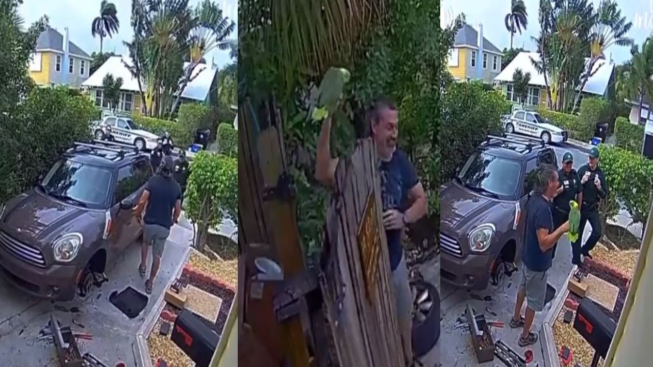 Funny Parrot : కాపాడమంటూ ఓ ఇంట్లోంచి మహిళ అరుపులు.. లోనికి వెళ్లి చూసిన పోలీసులు షాక్ Funny Parrot : కాపాడమంటూ ఓ ఇంట్లోంచి మహిళ అరుపులు.. లోనికి వెళ్లి చూసిన పోలీసులు షాక్