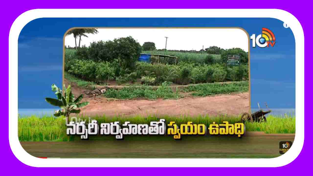 Plant Nursery Development : నర్సరీ నిర్వహణతో స్వయం ఉపాధి.. ఏటా రూ. 6 లక్షలు నికర ఆదాయం Plant Nursery Development : నర్సరీ నిర్వహణతో స్వయం ఉపాధి.. ఏటా రూ. 6 లక్షలు నికర ఆదాయం