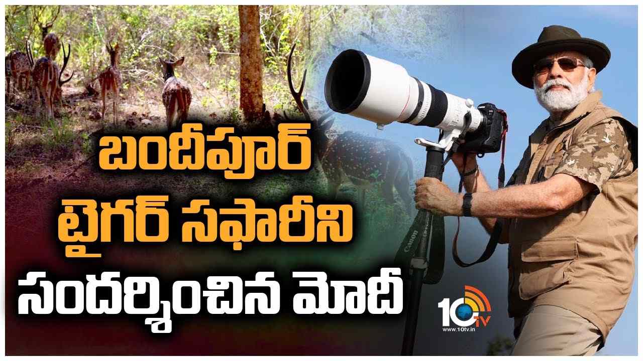 PM Modi : బందీపూర్ టైగర్ సఫారీని సందర్శించిన మోదీ..