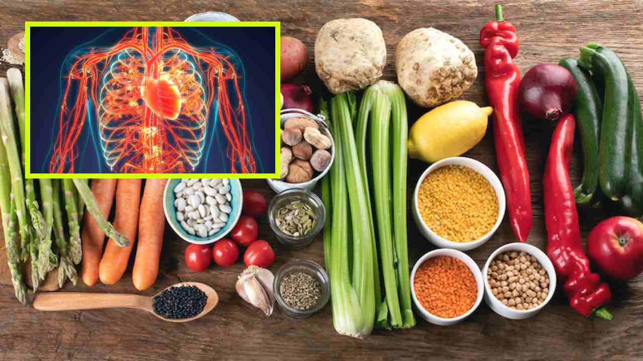 Blood Circulation : శరీరానికి సరైన రక్త ప్రసరణ కోసం ఆహారంలో మార్పులు తప్పదా ? Blood Circulation : శరీరానికి సరైన రక్త ప్రసరణ కోసం ఆహారంలో మార్పులు తప్పదా ?