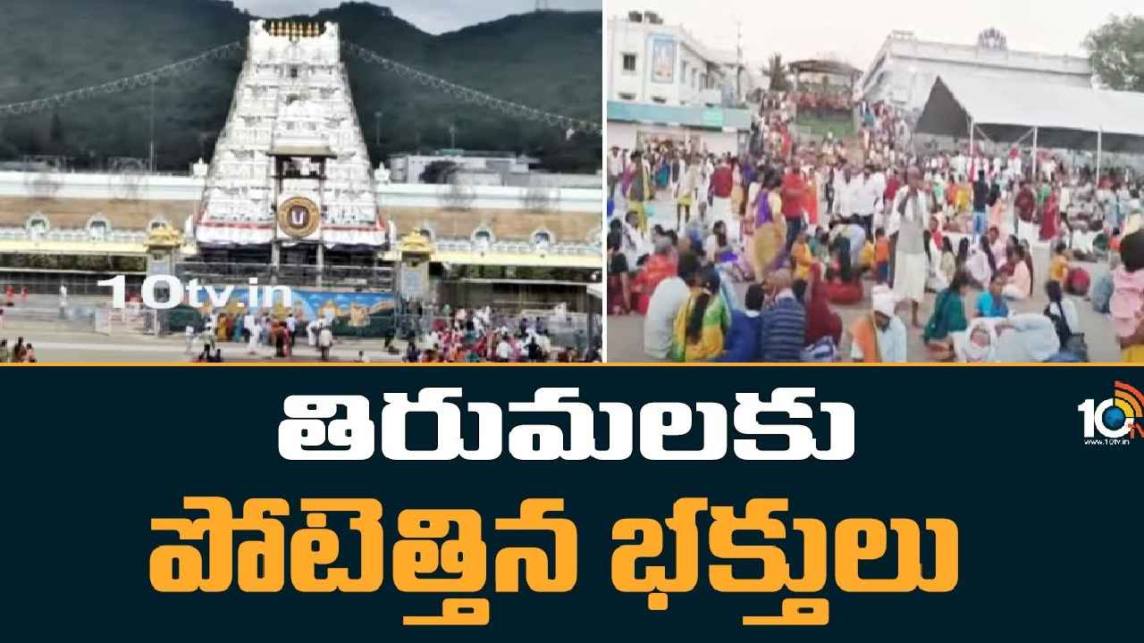 Tirumala Rush : తిరుమలలో విపరీతమైన రద్దీ, భక్తుల కష్టాలు.. 24గంటల తర్వాతే దర్శనం Tirumala Rush : తిరుమలలో విపరీతమైన రద్దీ, భక్తుల కష్టాలు.. 24గంటల తర్వాతే దర్శనం