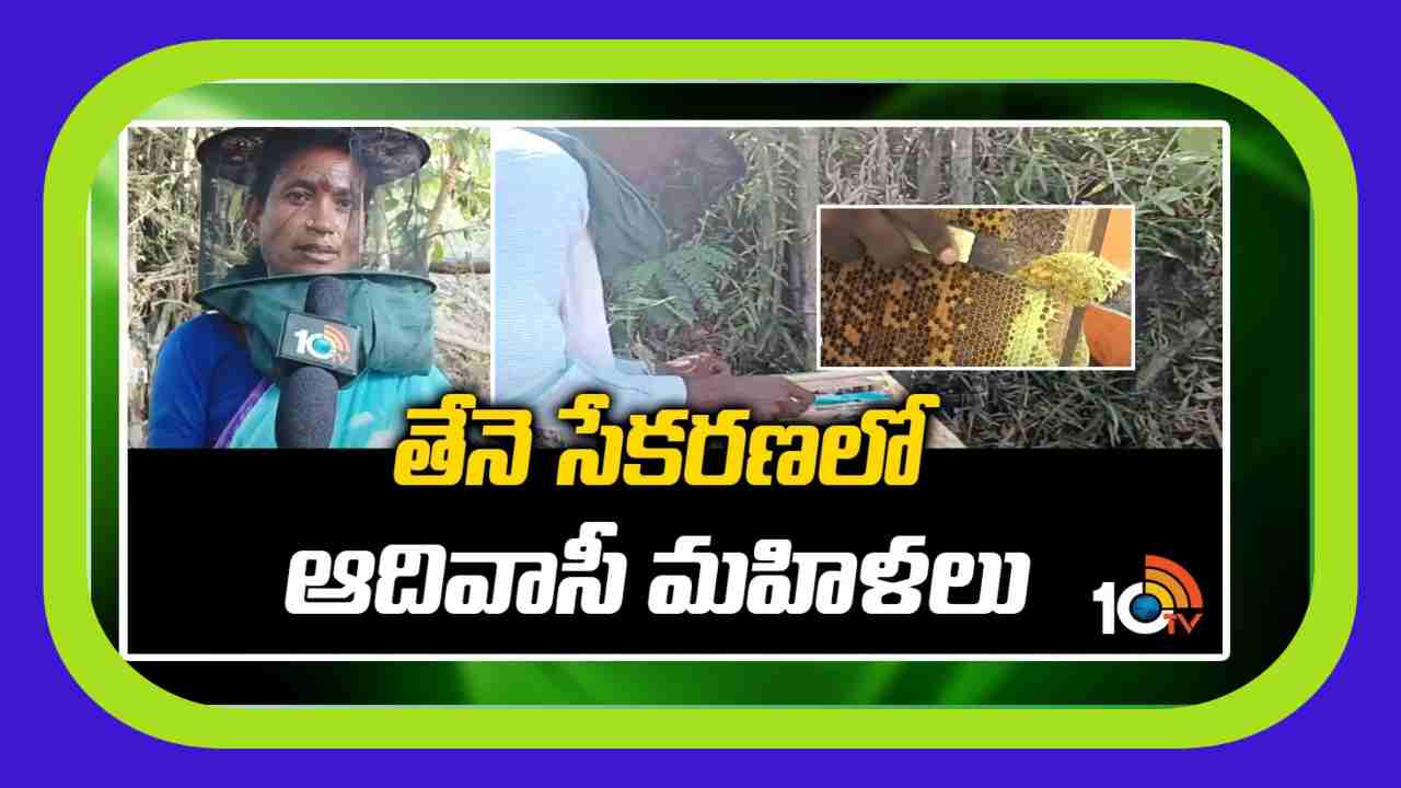 Honey Collection : తేనెటీగల పెంపకంలో ఆదివాసీ మహిళలు Honey Collection : తేనెటీగల పెంపకంలో ఆదివాసీ మహిళలు