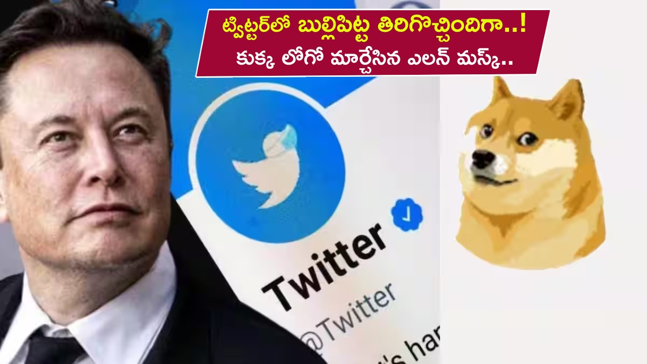 Twitter Bird Logo : బుల్లిపిట్ట తిరిగొచ్చింది.. ట్విట్టర్ ‘డాగీ కాయిన్’ లోగో మార్చేశాడు.. మస్క్ మామూలోడు కాదుగా..! Twitter Bird Logo : బుల్లిపిట్ట తిరిగొచ్చింది.. ట్విట్టర్ ‘డాగీ కాయిన్’ లోగో మార్చేశాడు.. మస్క్ మామూలోడు కాదుగా..!