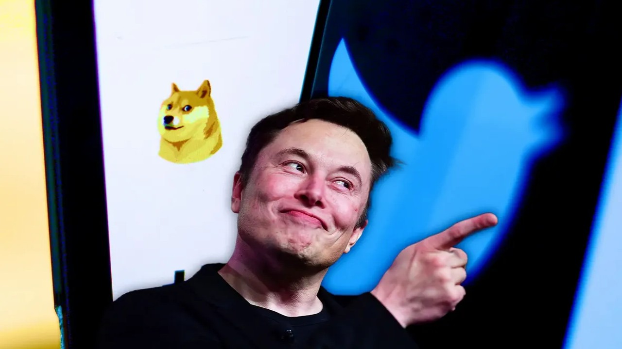 Twitter Bird Logo _ Little birdie is back, Elon Musk replaces Dogecoin logo with official Twitter logo