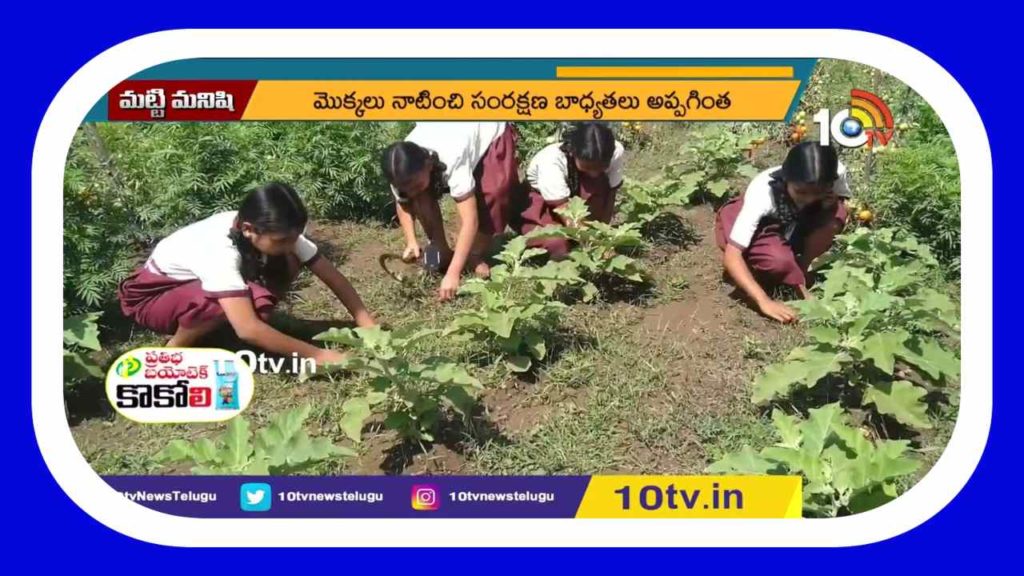 Vegetables in School