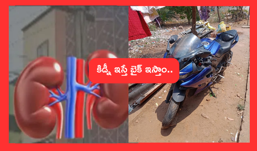 Vizag Kidney Racket