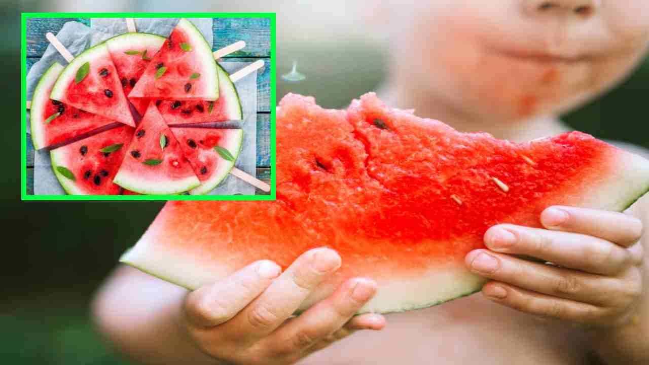 Watermelon : వేసవిలో శరీరాన్ని చల్లగా,ఆరోగ్యంగా ఉంచే పుచ్చకాయ ! Watermelon : వేసవిలో శరీరాన్ని చల్లగా,ఆరోగ్యంగా ఉంచే పుచ్చకాయ !