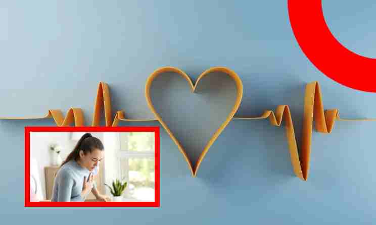 Heart Health : పునరుత్పత్తి కారకాలు మహిళల్లో గుండె ఆరోగ్యాన్ని ఎలా ప్రభావితం చేస్తాయో తెలుసా ! Heart Health : పునరుత్పత్తి కారకాలు మహిళల్లో గుండె ఆరోగ్యాన్ని ఎలా ప్రభావితం చేస్తాయో తెలుసా !