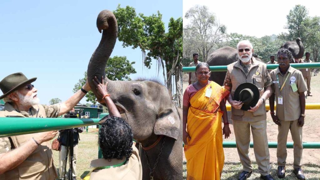 Narendra Modi visits The Elephant Whisperers movie Elephants