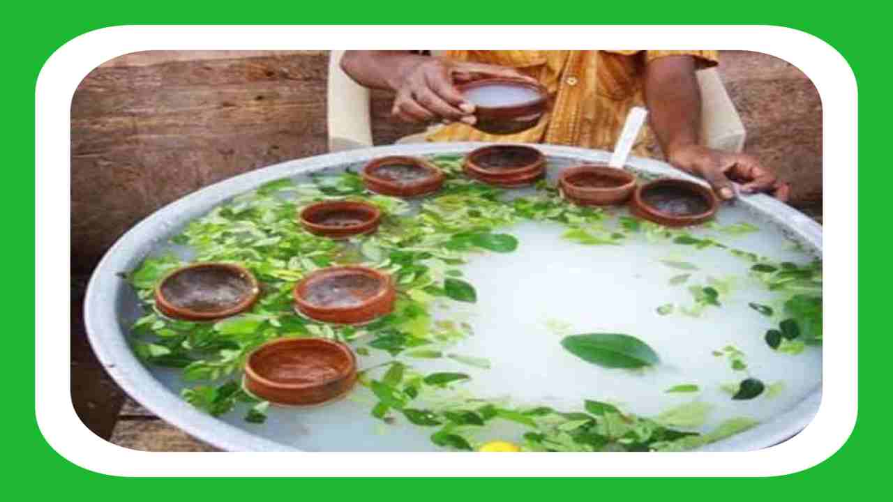 Tanka Torani : వేసవిలో వేడి అలసటను పోగొటెట్టేందుకు తోడ్పడే టంకా తోరణి ! దీనిని ఎలా తయారు చేయాలంటే ? Tanka Torani : వేసవిలో వేడి అలసటను పోగొటెట్టేందుకు తోడ్పడే టంకా తోరణి ! దీనిని ఎలా తయారు చేయాలంటే ?