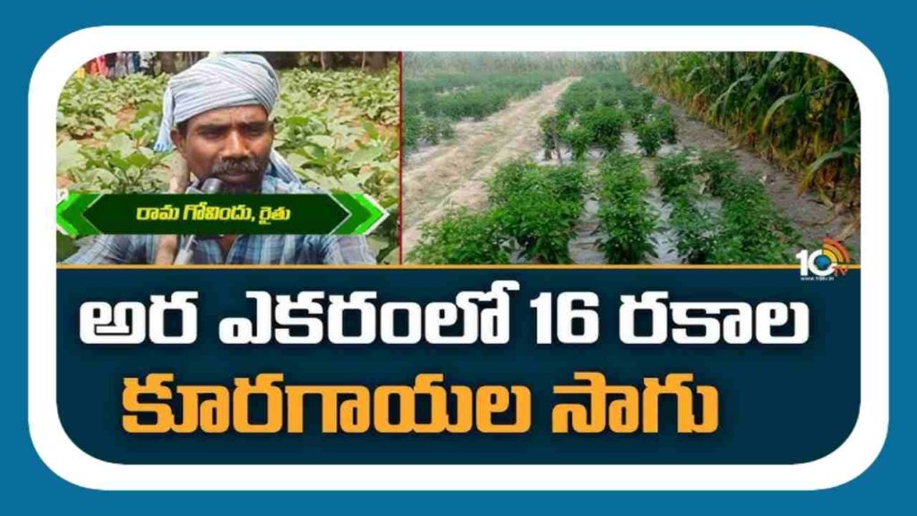 vegetables Cultivation