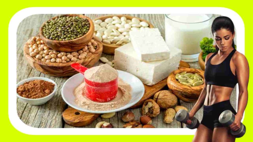 vegetarian protein