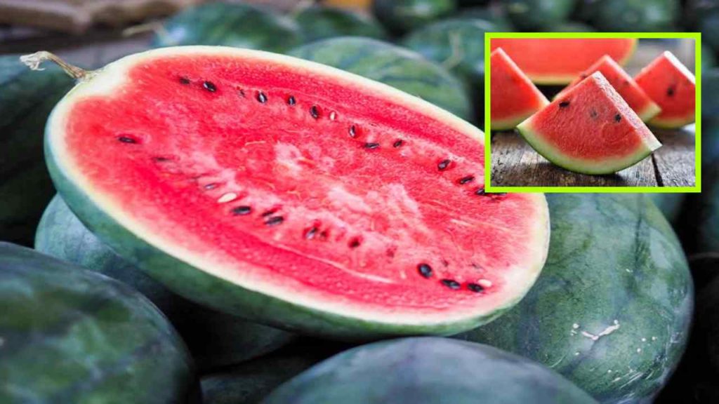 Watermelon