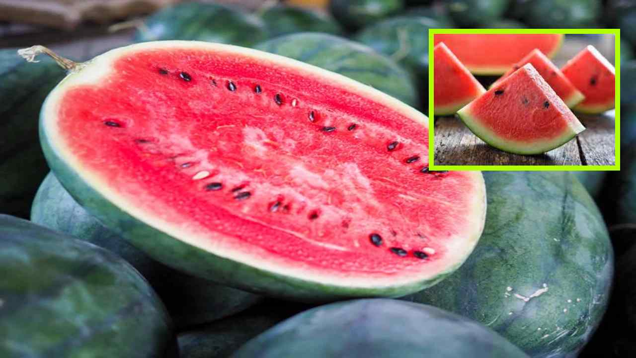 Watermelon : ఆరోగ్యంగా ఉండాలంటే పుచ్చకాయ తిన్నతరువాత ఈ మూడు పదార్థాలు తినొద్దు ! Watermelon : ఆరోగ్యంగా ఉండాలంటే పుచ్చకాయ తిన్నతరువాత ఈ మూడు పదార్థాలు తినొద్దు !