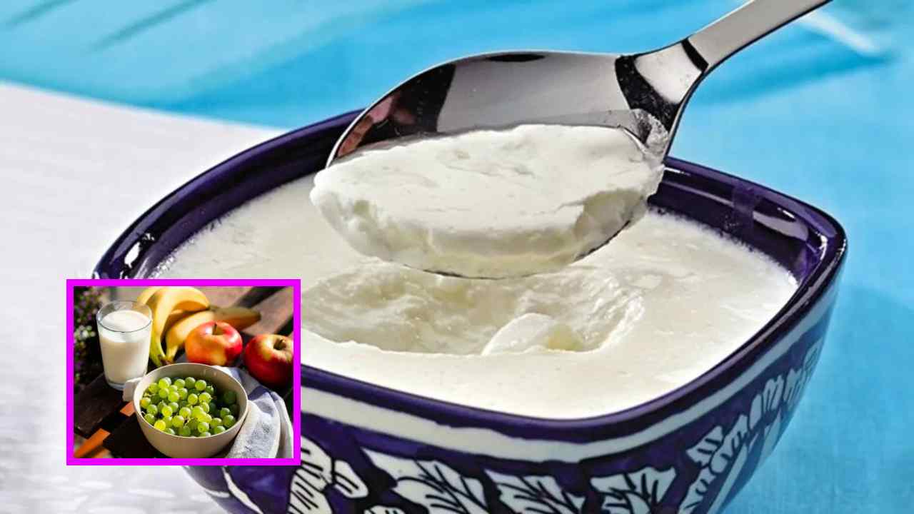 Bad food Combinations : పెరుగుతో కలిపి తినకూడని ఆహారాలు ఇవే ! Bad food Combinations : పెరుగుతో కలిపి తినకూడని ఆహారాలు ఇవే !