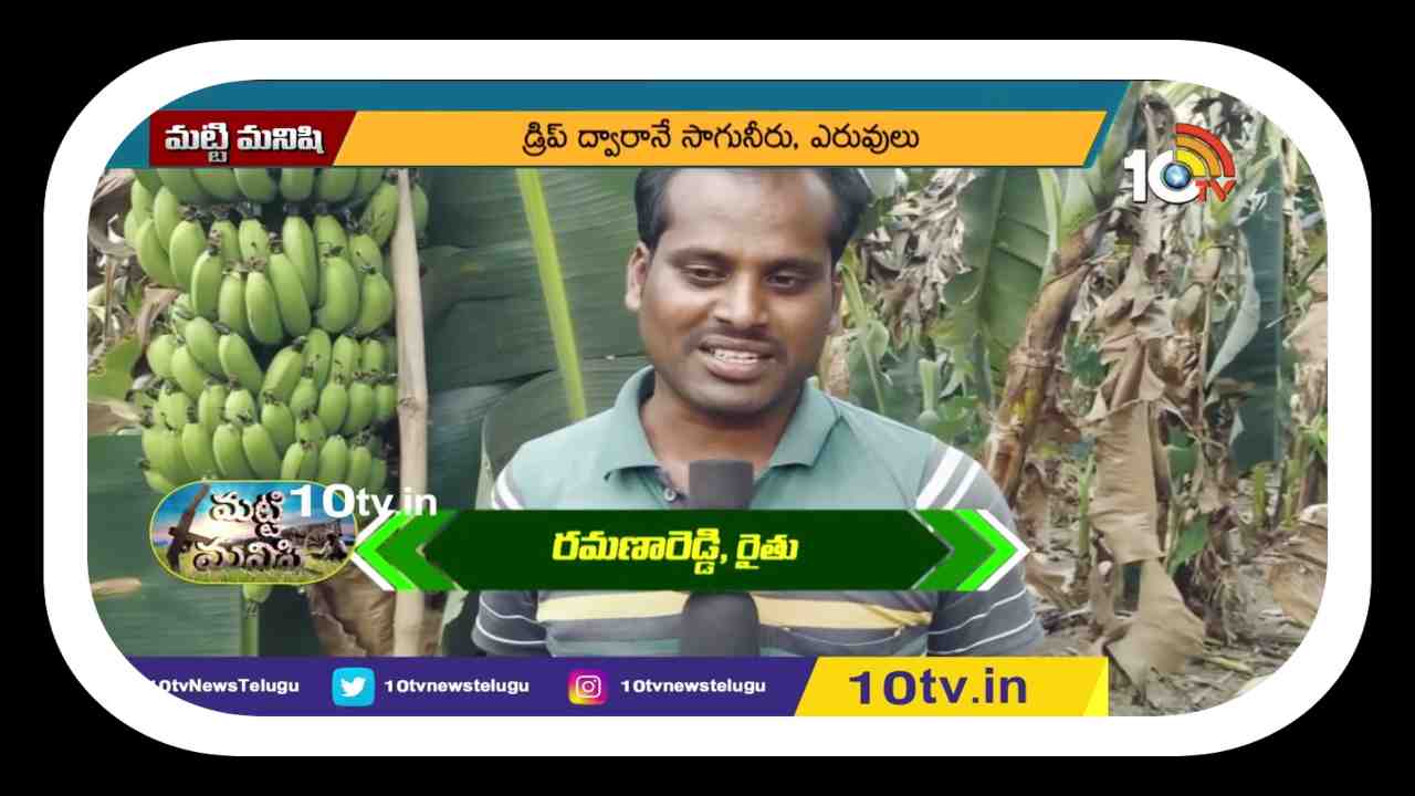 Banana Crop Farming : 5 ఎకరాల అరటి సాగుతో.. రూ. 25 లక్షల ఆదాయం Banana Crop Farming : 5 ఎకరాల అరటి సాగుతో.. రూ. 25 లక్షల ఆదాయం