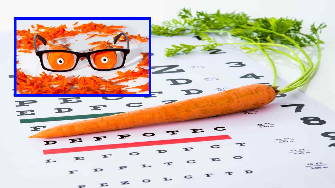 Carrots Improve Eyesight : క్యారెట్లు తింటే రాత్రి సమయంలో కంటిచూపు బాగా ఉంటుందా ? అసలు వాస్తవం ఏమిటి ? Carrots Improve Eyesight : క్యారెట్లు తింటే రాత్రి సమయంలో కంటిచూపు బాగా ఉంటుందా ? అసలు వాస్తవం ఏమిటి ?
