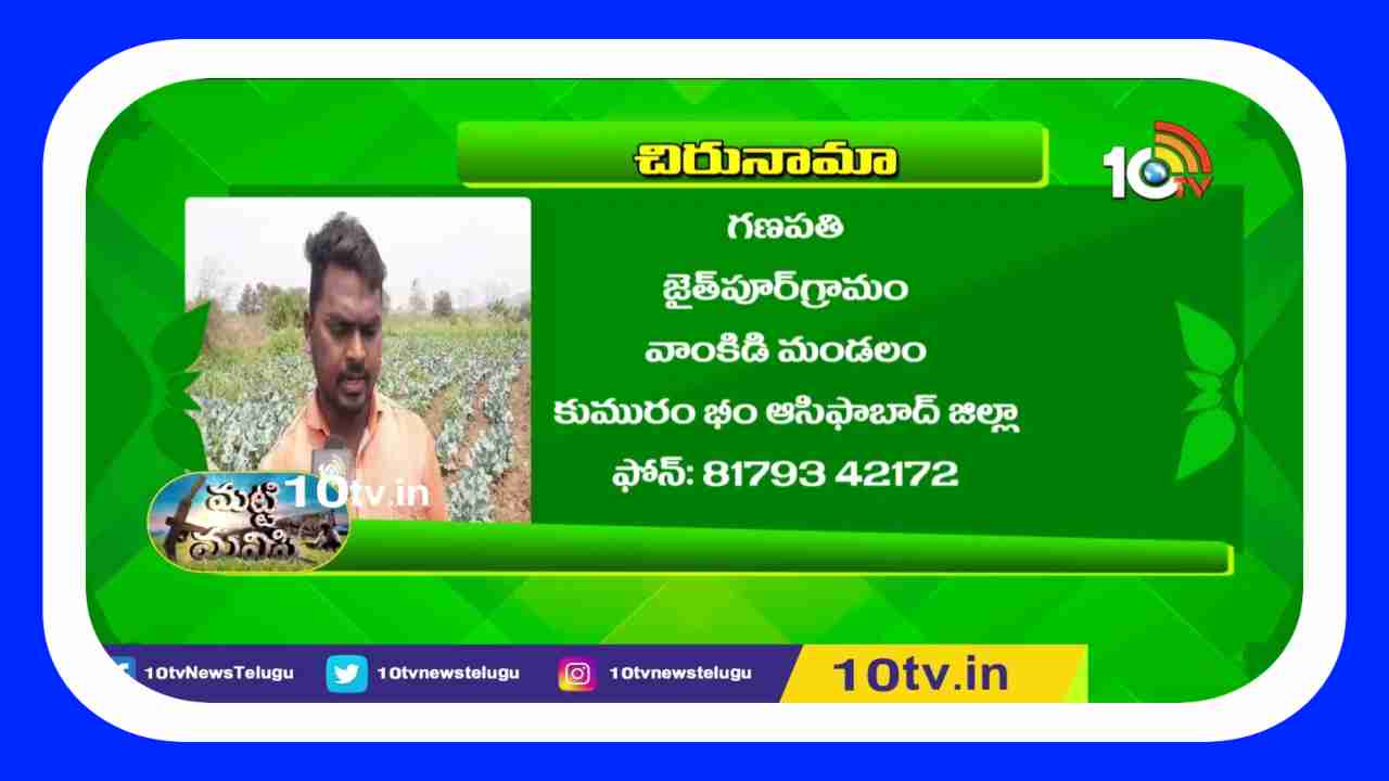 Cauliflower Farming : కాలీఫ్లవర్ సాగుతో.. అధిక లాభాలు ఆర్జిస్తున్న రైతు Cauliflower Farming : కాలీఫ్లవర్ సాగుతో.. అధిక లాభాలు ఆర్జిస్తున్న రైతు