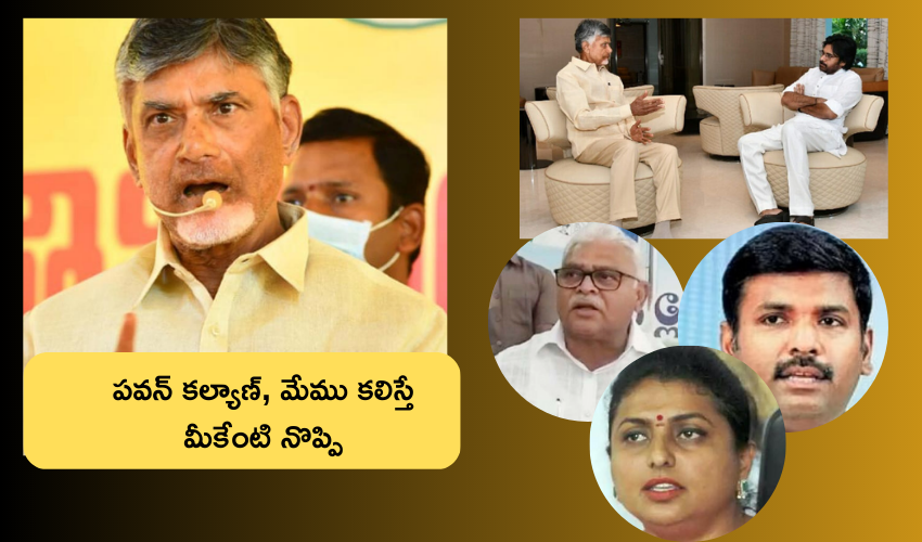 Chandrababu Pawan kalyan