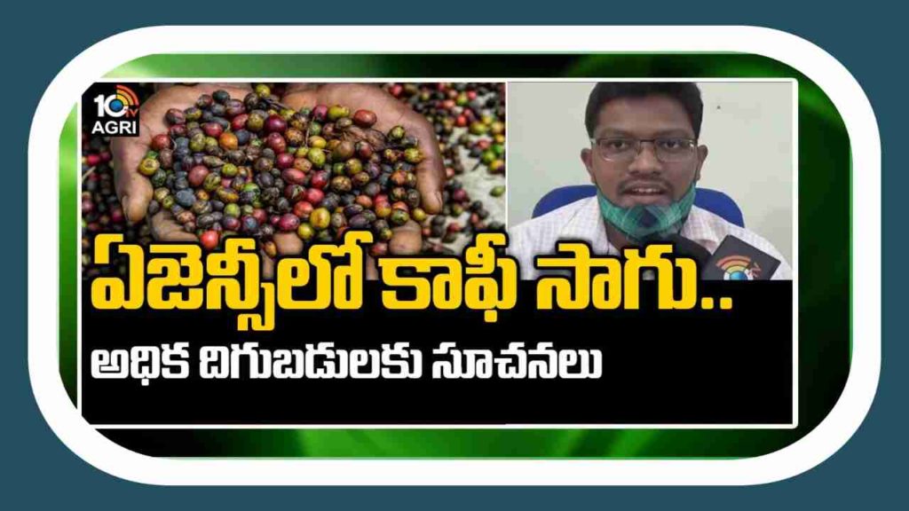 Coffee Cultivation Techniques