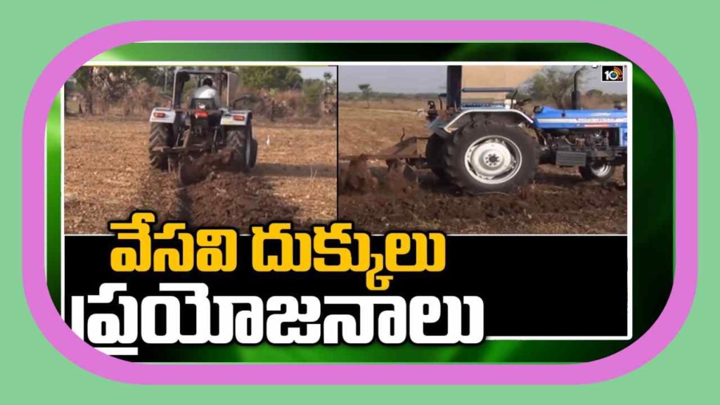 Cultivation Techniques