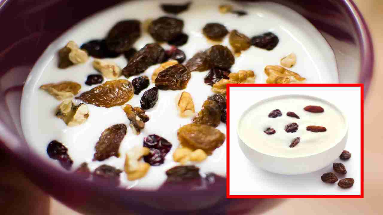 Curd With Raisins : ఆరోగ్యకరమైన ఎముకలు, కీళ్ళ కోసం పెరుగులో ఎండుద్రాక్ష కలిపి తీసుకోండి ! Curd With Raisins : ఆరోగ్యకరమైన ఎముకలు, కీళ్ళ కోసం పెరుగులో ఎండుద్రాక్ష కలిపి తీసుకోండి !