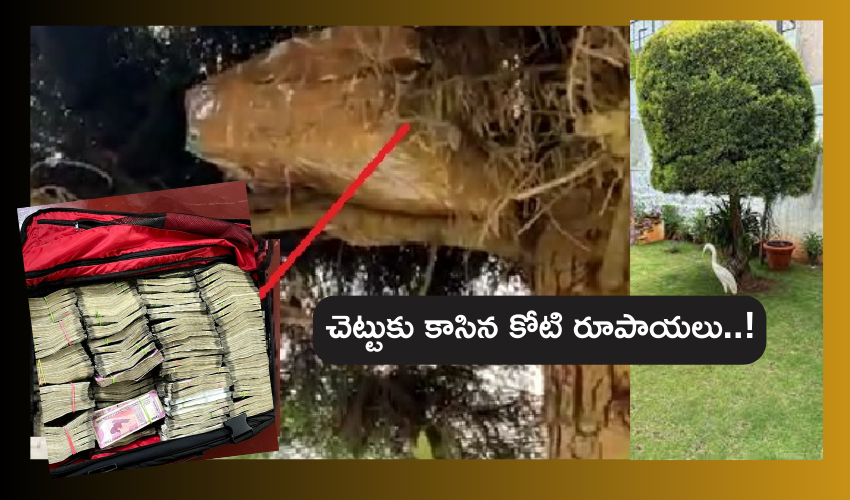 Karnataka Election 2023 : పెరట్లోని చెట్టుపై మూట, మూటలో కోటి రూపాయలు .. కన్నడనాట సిత్రాలు ఇసిత్రాలు..!! Karnataka Election 2023 : పెరట్లోని చెట్టుపై మూట, మూటలో కోటి రూపాయలు .. కన్నడనాట సిత్రాలు ఇసిత్రాలు..!!