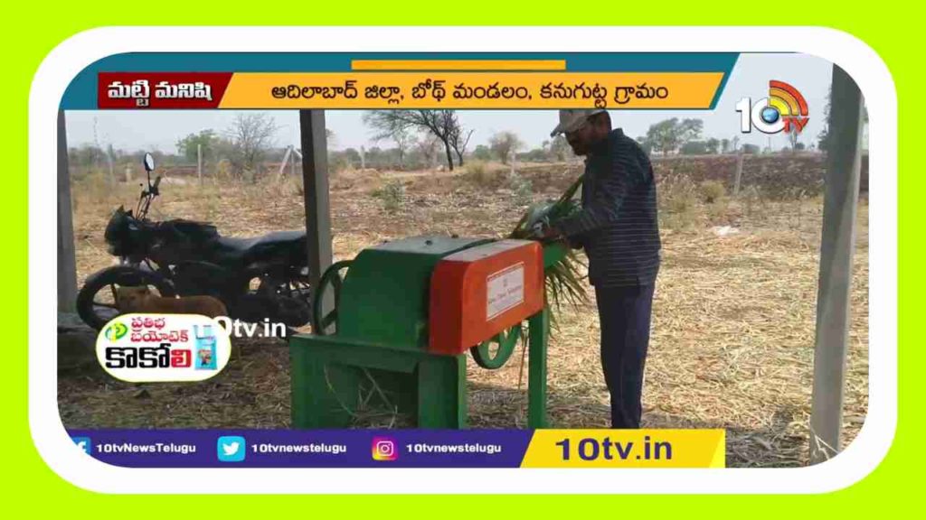 Dairy Management