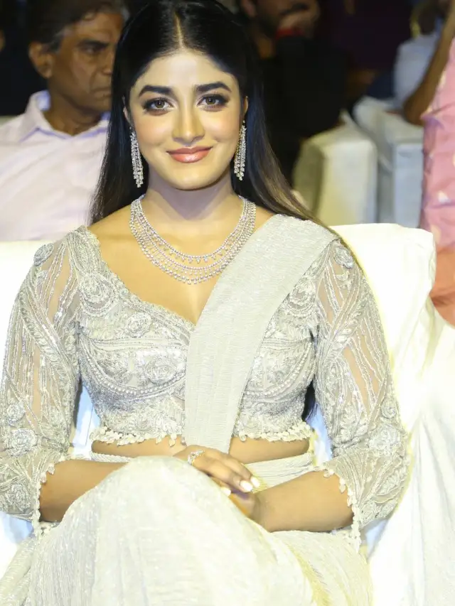 Dimple Hayahi Shines in Saree at Ramabanam Pre Release Event