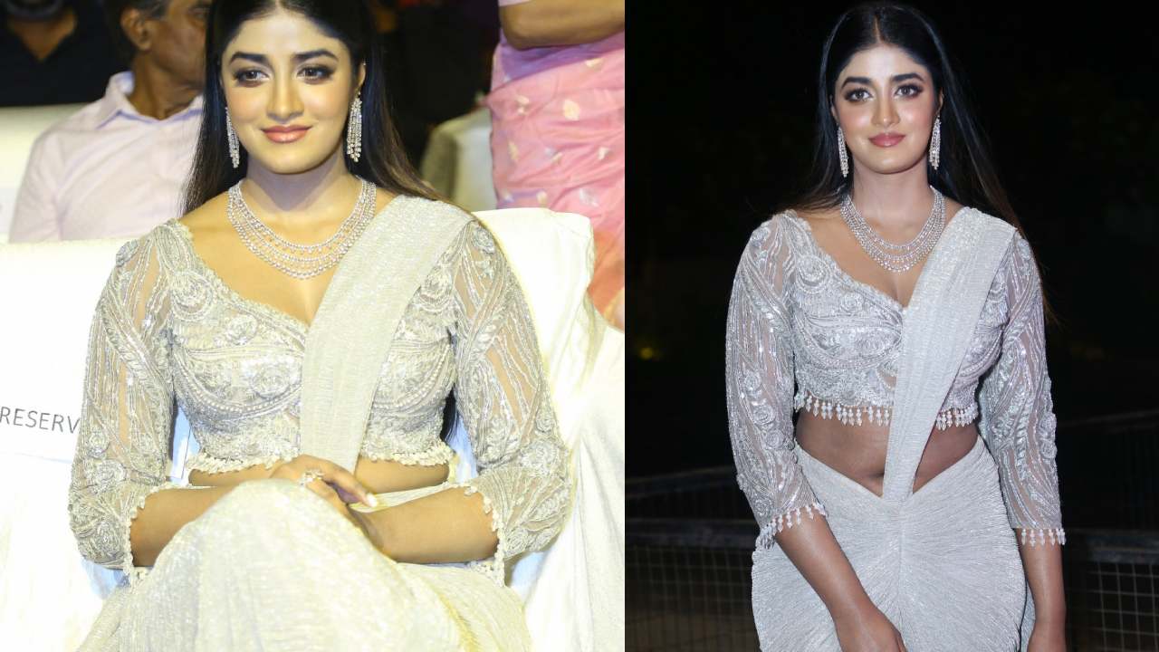 Dimple Hayahi : వెరైటీ చీరకట్టులో డింపుల్ హయతి..