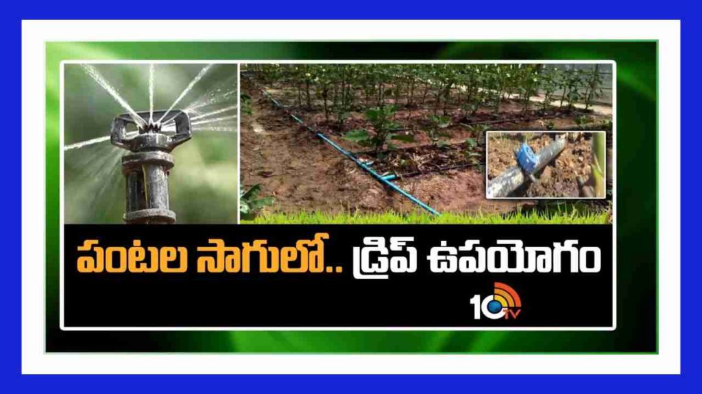 Drip Irrigation System & Techniques