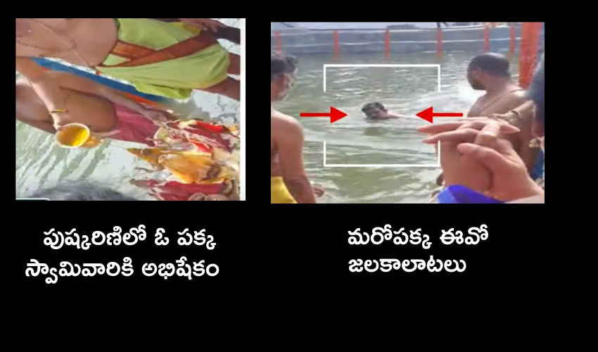 EO swimming In neelakantheswara swami pushkarini