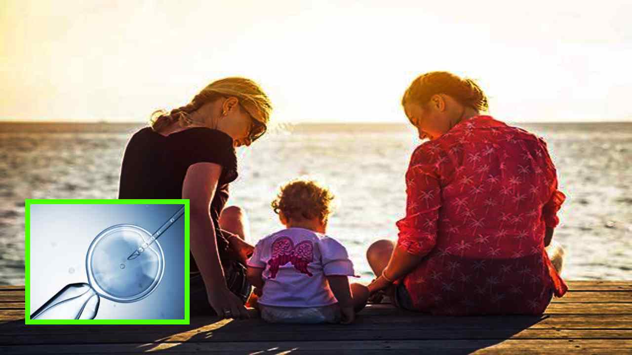 In Vitro Fertilization : IVF అంటే ఏమిటి? ఏ పరిస్ధితుల్లో ఇది అవసరమౌతుంది ? In Vitro Fertilization : IVF అంటే ఏమిటి? ఏ పరిస్ధితుల్లో ఇది అవసరమౌతుంది ?