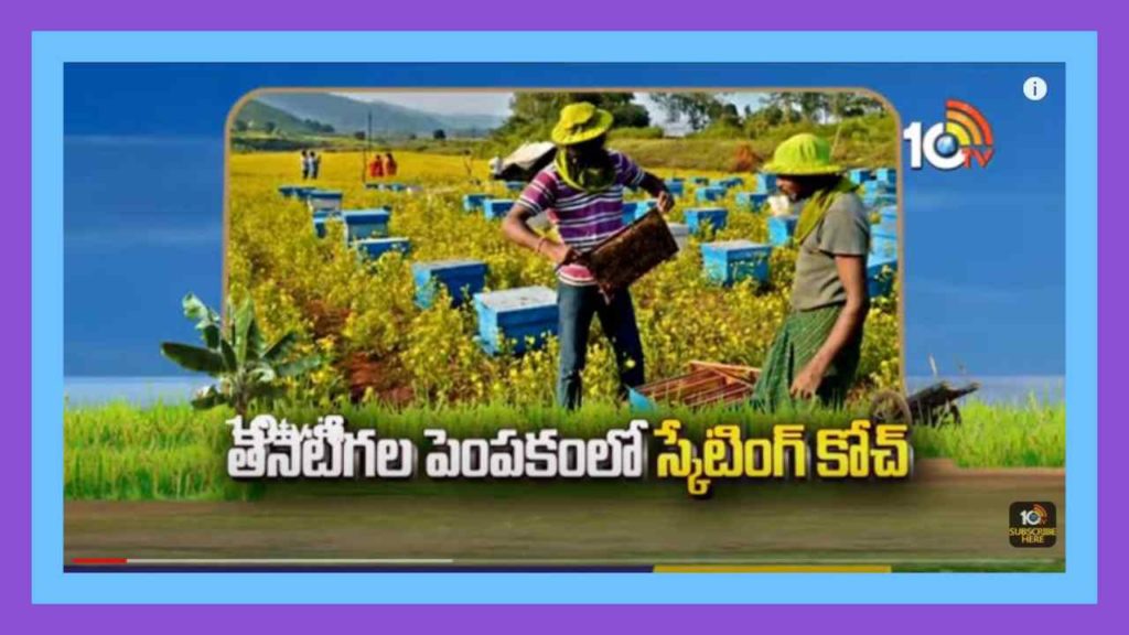 Honey Bee Farming