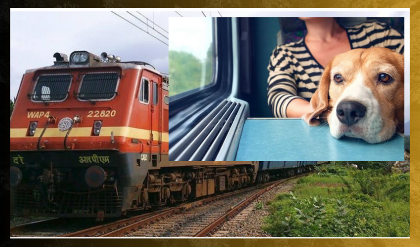 IRCTC Online ticket booking pets