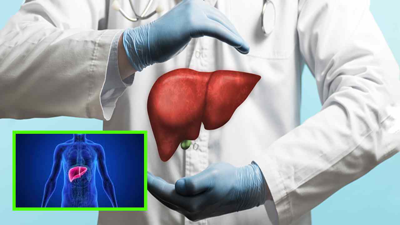 Liver Health : కాలేయ ఆరోగ్యానికి దోహదపడే ఆహార చిట్కాలు, జీవనశైలి మార్పులు ! Liver Health : కాలేయ ఆరోగ్యానికి దోహదపడే ఆహార చిట్కాలు, జీవనశైలి మార్పులు !