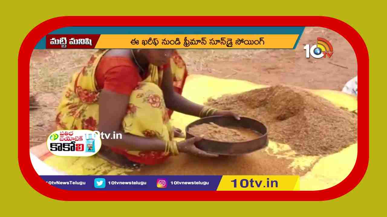 Millets Cultivation : చిరుధాన్యాల సాగును ప్రోత్సహిస్తున్న సబల Millets Cultivation : చిరుధాన్యాల సాగును ప్రోత్సహిస్తున్న సబల