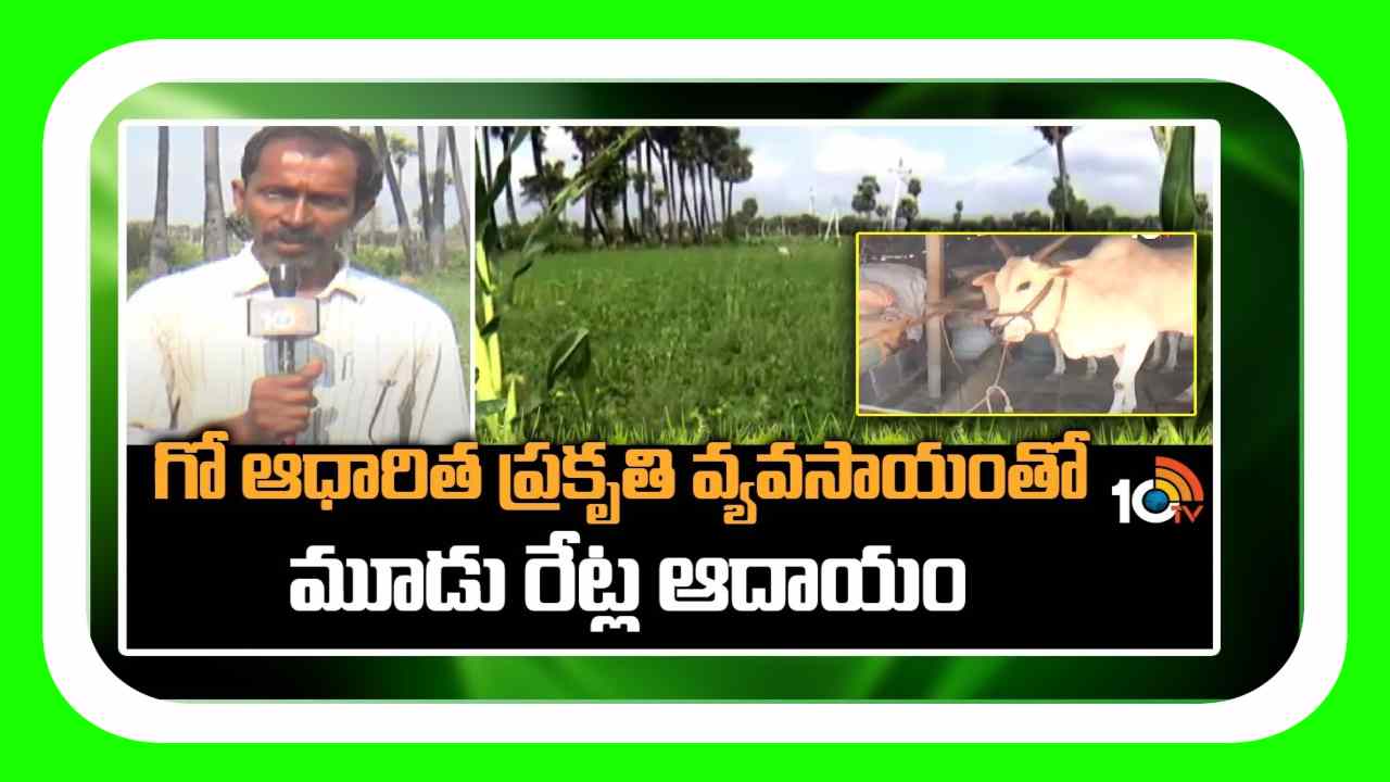 Natural Farming : గో ఆధారిత ప్రకృతి వ్యవసాయంతో.. మూడు రెట్ల ఆదాయం పొందుతున్న రైతు Natural Farming : గో ఆధారిత ప్రకృతి వ్యవసాయంతో.. మూడు రెట్ల ఆదాయం పొందుతున్న రైతు