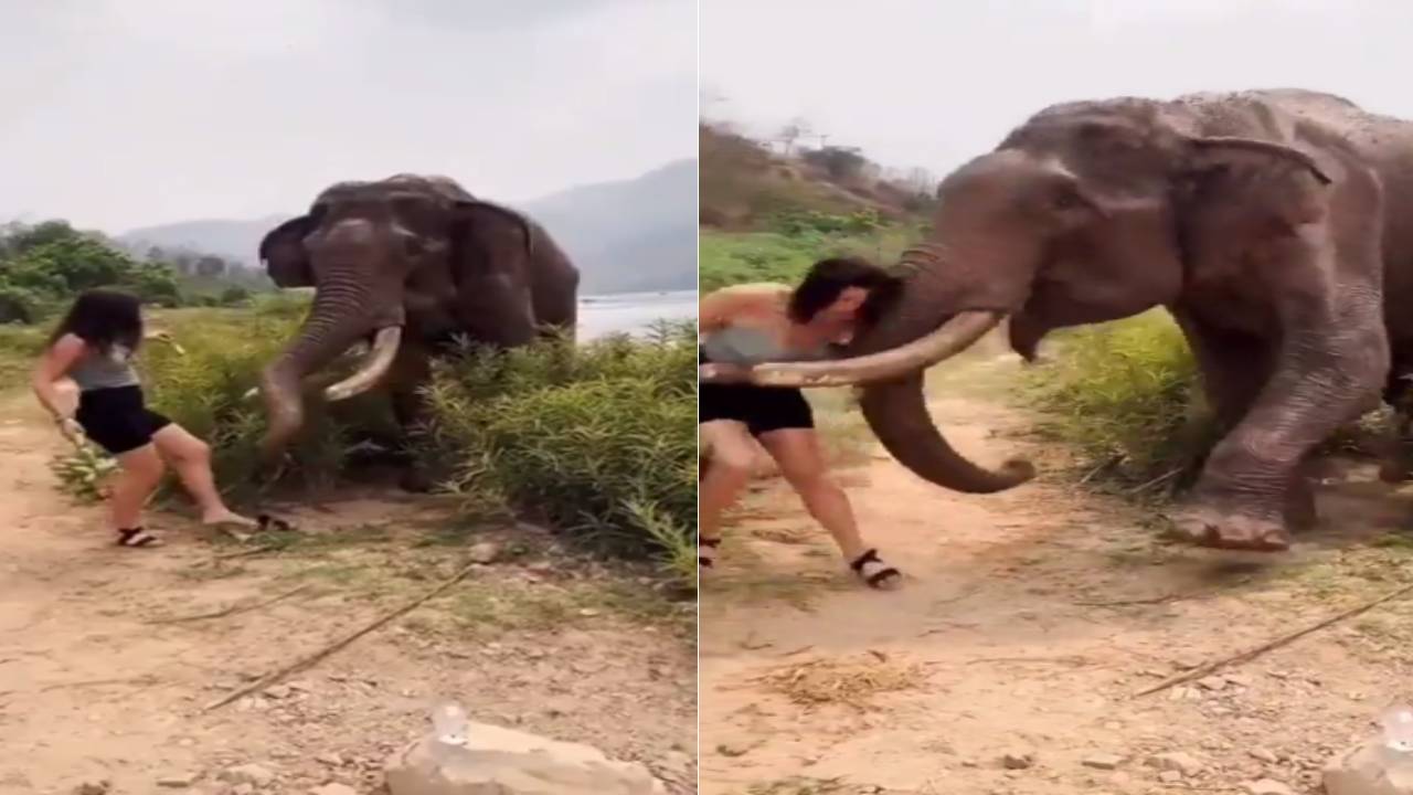 Elephant attack on woman : ఏనుగుతో పరాచకాలు ఆడితే ఇలాగే ఉంటుంది ! Elephant attack on woman : ఏనుగుతో పరాచకాలు ఆడితే ఇలాగే ఉంటుంది !