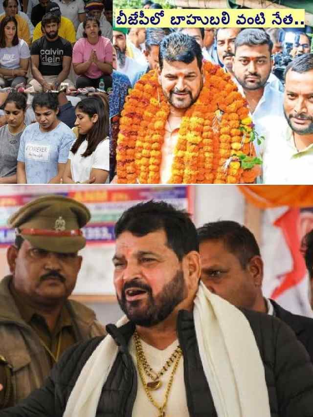 >బ్రిజ్ భూషణ్ అంత శక్తిమంతుడా?